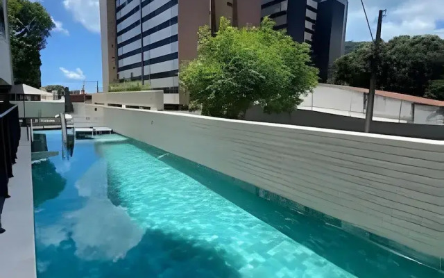 Studio Design 3 - Lions