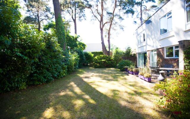 Honest University Apartment 2