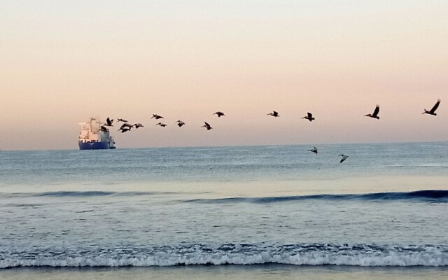 Vista del mar