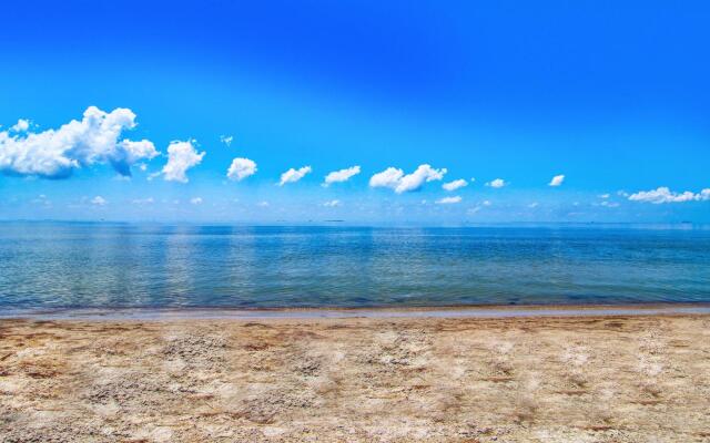 Mermaid's Landing