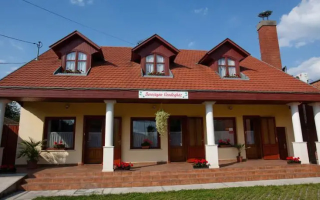 Borostyan Guesthouse