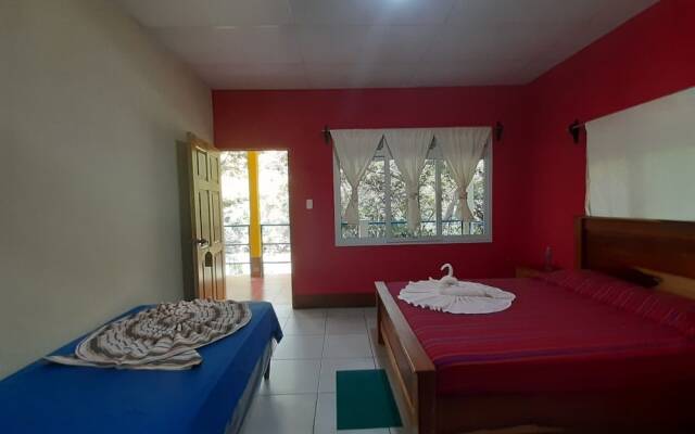 Hostal Oasis The Traveler - Hostel