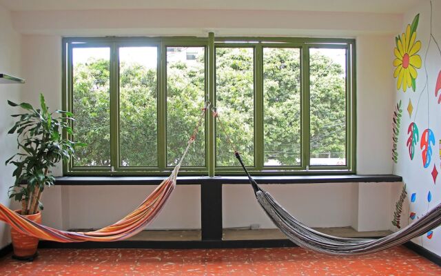 Zamia Hostel