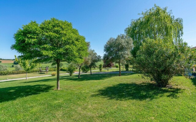 Borgo Syrah Frantoio 4