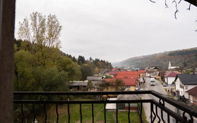 Pensiunea Lido Moisei