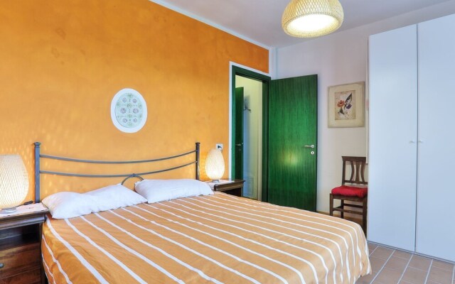 Garofano Sughera in Sughera