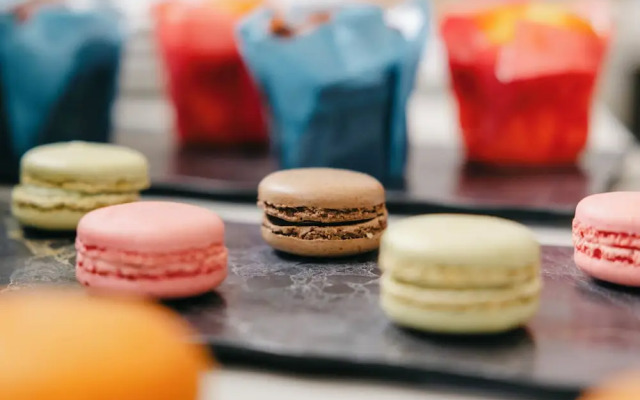 Villa Turco Berti Luxury Apartments&SPA