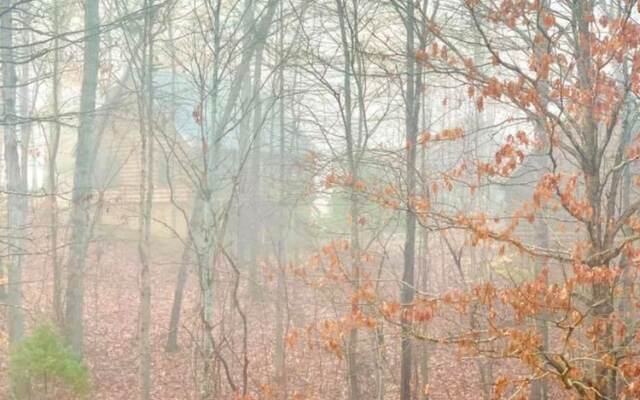 Shenandoah Wilderness Traveler