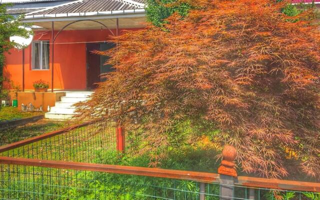 Guest House leonidze