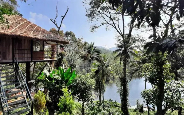 Noah's Nest Tree House