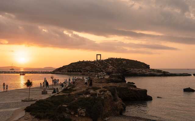 Naxos Rhyton-Adults Only