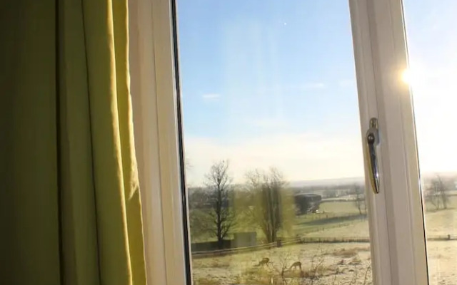 The Swallows glamping