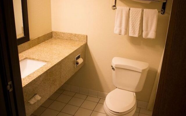 Regency Inn and Suites, Anoka