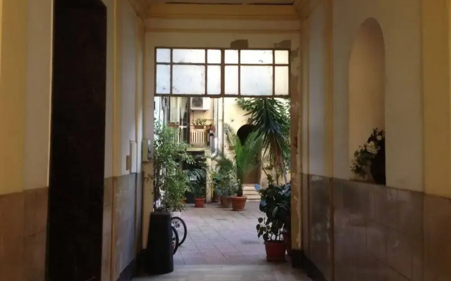 Super Big History Luxury At Colosseum