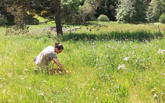 Maison sous les étoiles