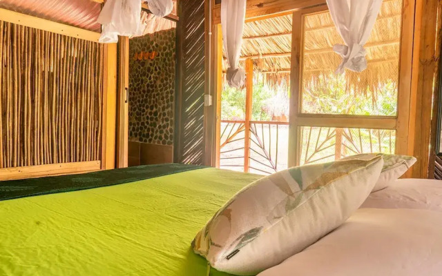 Magic Greeen Tayrona