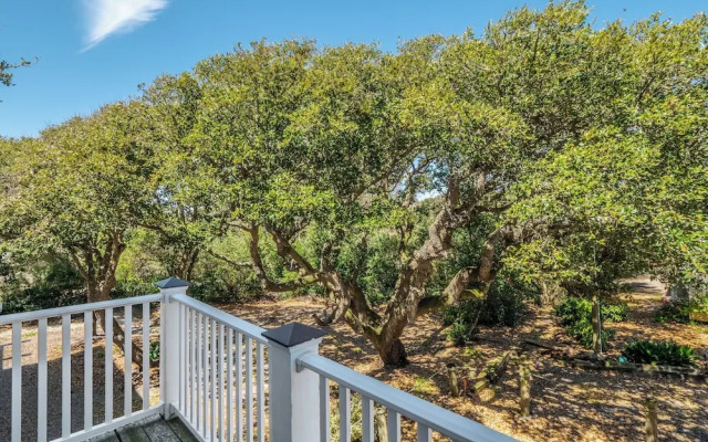 Summer Days Cooler Nights