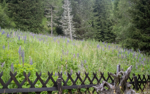 Mountain View Chalet in Flattnitz with Sauna