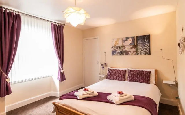 Mycosy Lorimer 17