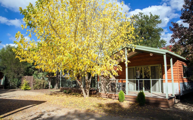 Big4 Tasman Holiday Parks - Bright