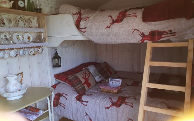 Meadow Shepherds hut