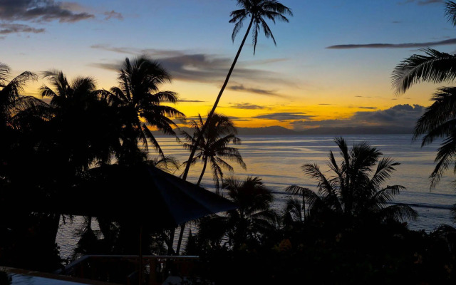 Taveuni Palms