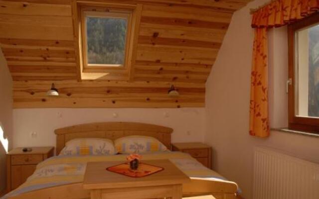 Tourist farm Gradišnik