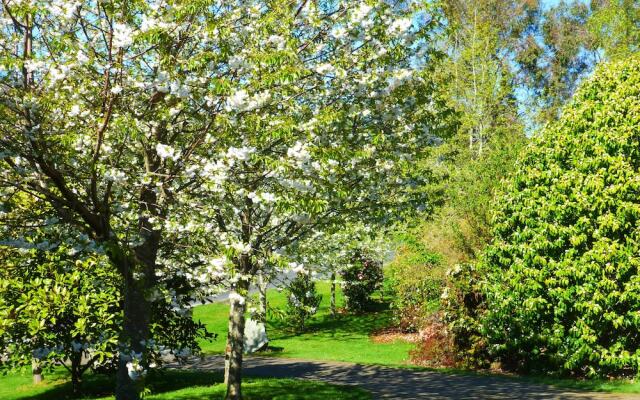 Acacia Heights Gardens