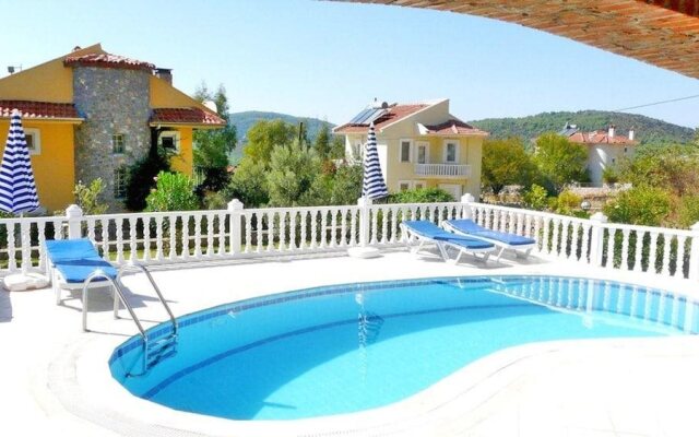 Dream Of Holiday Turk