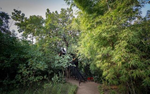 Tree House Hideway Bandhavgarh