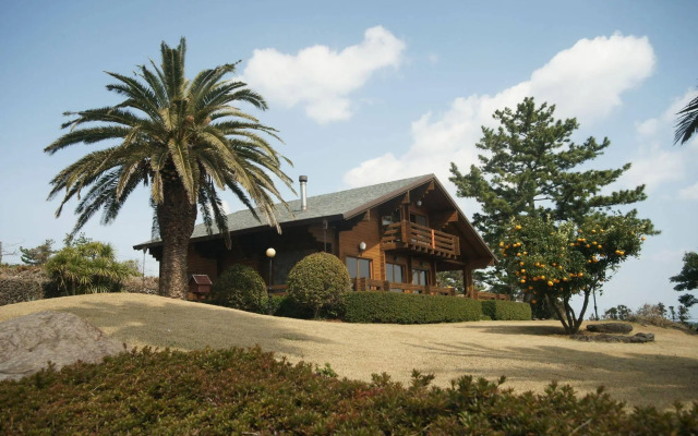 Sunny Day Jeju Pension