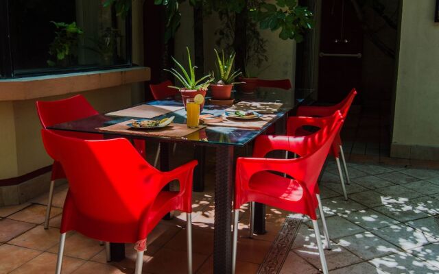 Paqui Bed & Breakfast