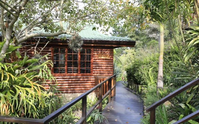Big Tree House Lodge