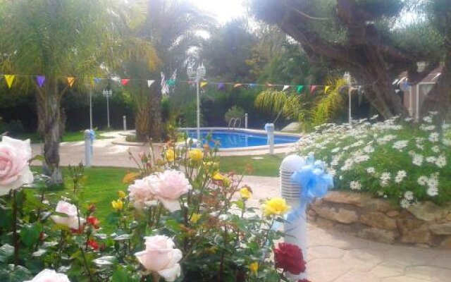 Apartment With 2 Bedrooms In Elche With Pool Access Furnished Terrace And Wifi - 6 Km From The Beach
