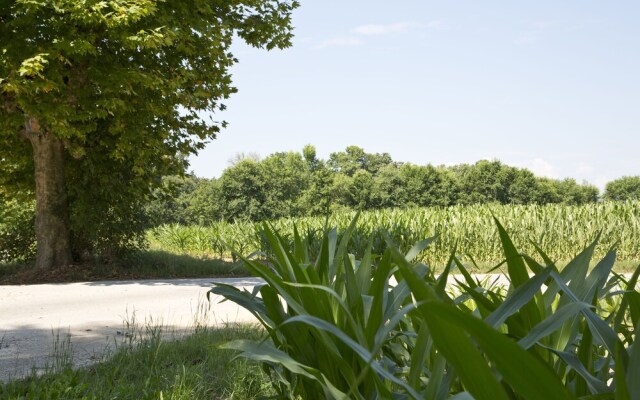 Agriturismo La Madoneta