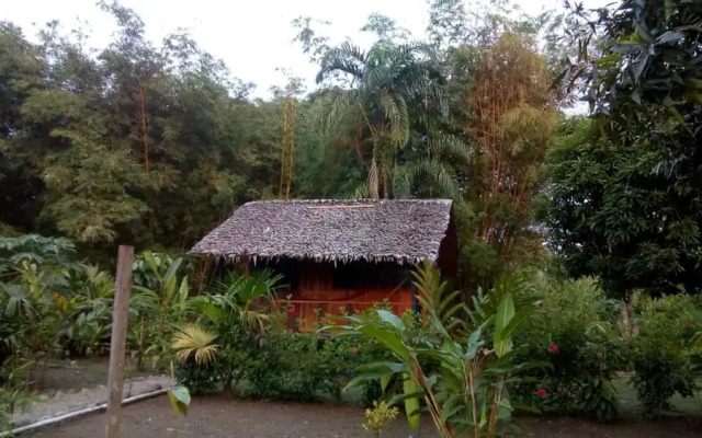 Rio Mar Bahía Solano Choco Colombia