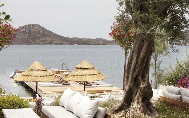 Boho Hotel-Adults Only