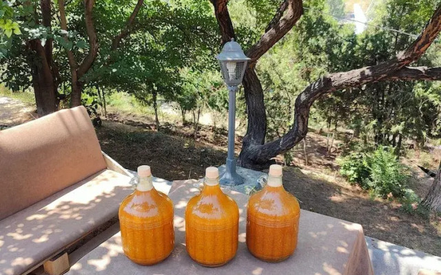 Organic House & Aquapark