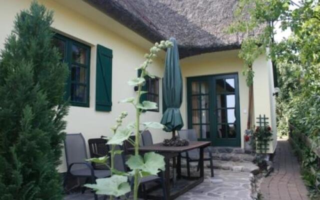 Schilfdachvilla Zeesboothaus WE308