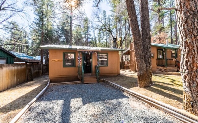 Whispering Blue Spruce