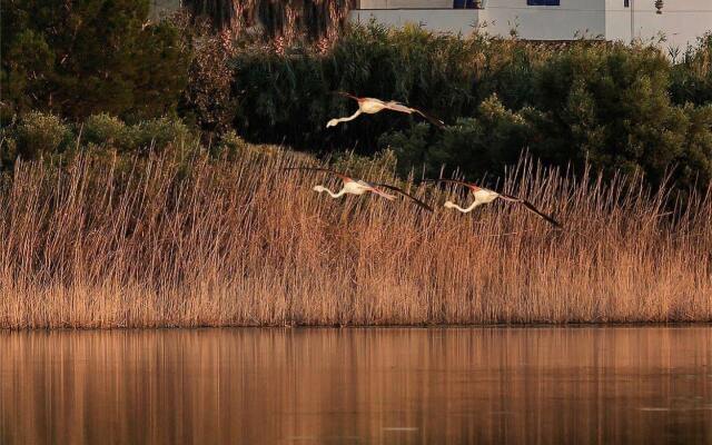 B&B Le Saline