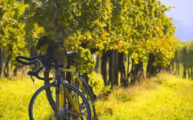 Gartenhotel & Weingut Pfeffel Dürnstein
