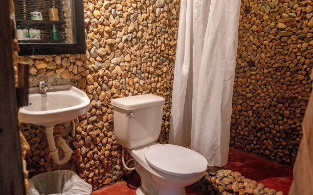 Dominican Tree House