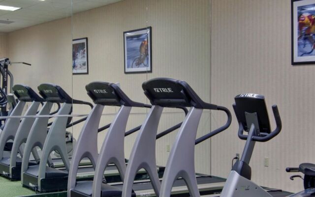 Holiday Inn & Suites Windsor Ambassador Bridge by IHG