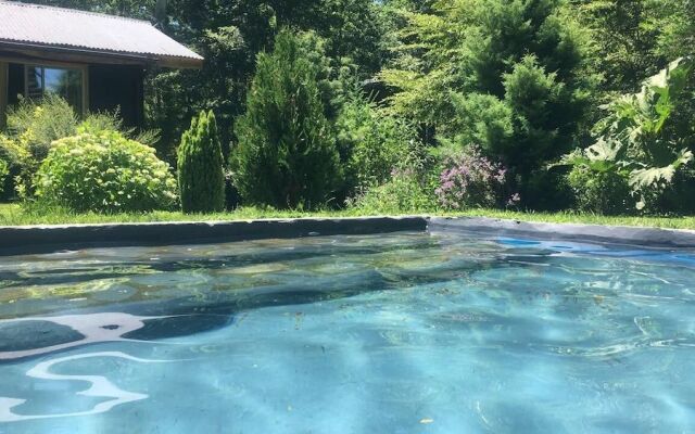 Cabañas Pucon - Caburga