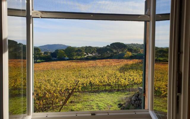 Domaine de la Navicelle - Oiseaux 1