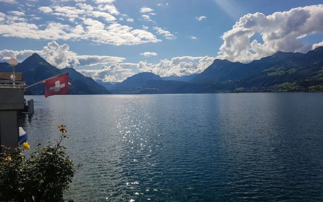 Seestern am See mit Motorboot Ennetb Rgen