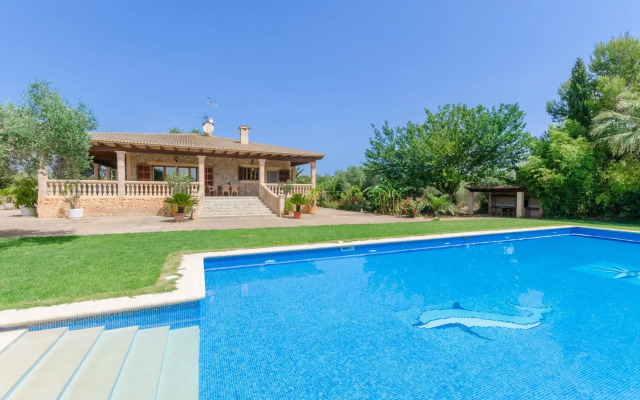 Can Berguins in Buger