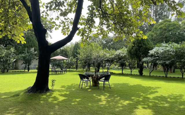 Tree of Life Dak Bunglow