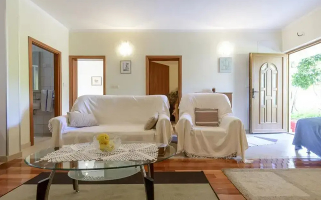 Apartment Petar